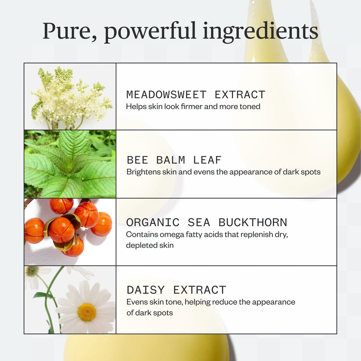 Ursa Major Golden Hour Body Serum - AILLEA