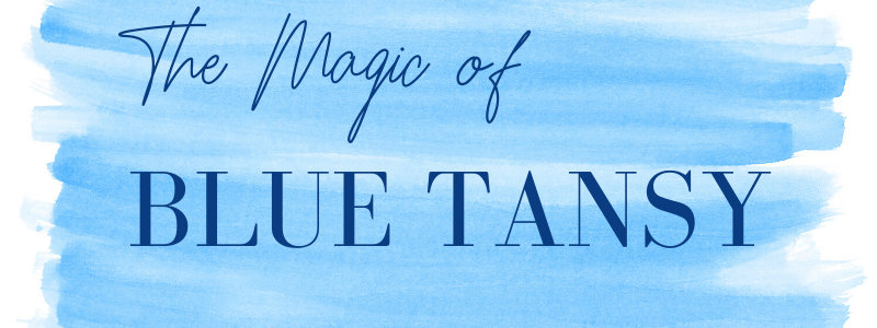 the magic of blue tansy