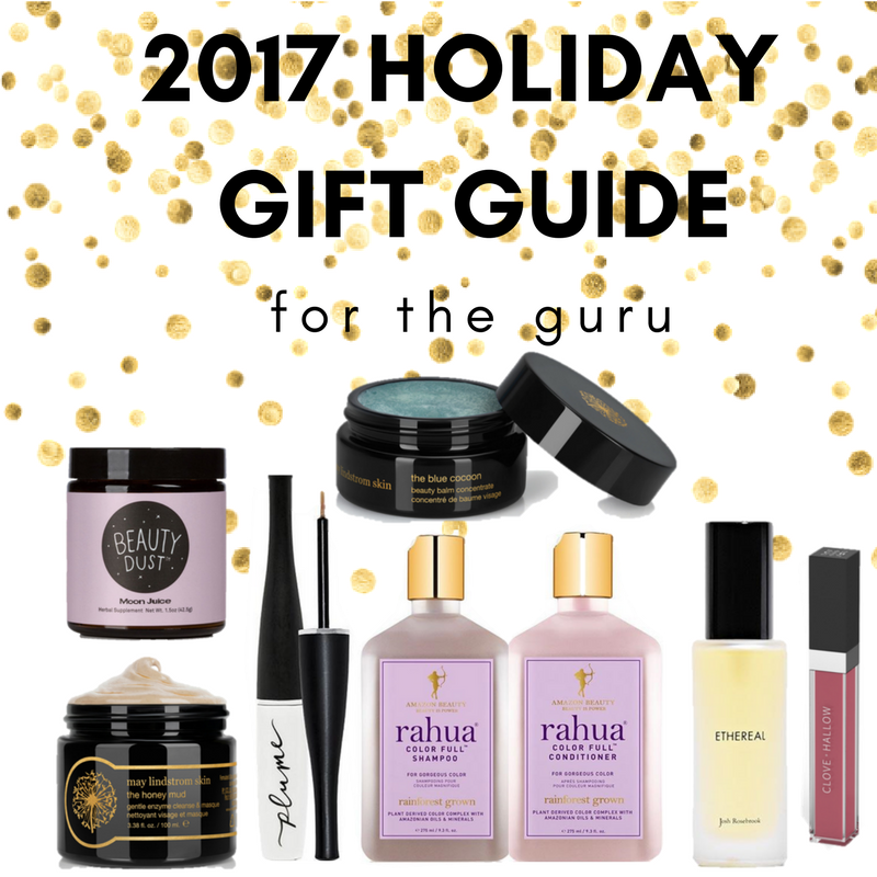2017 holiday gift guide for the guru