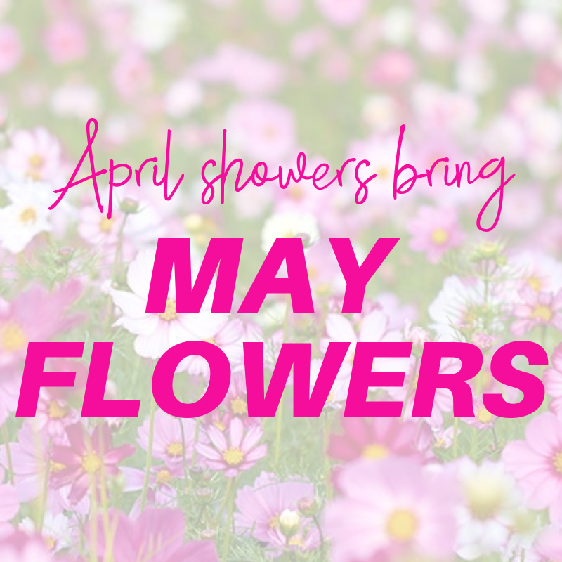 april showers bring may flowers