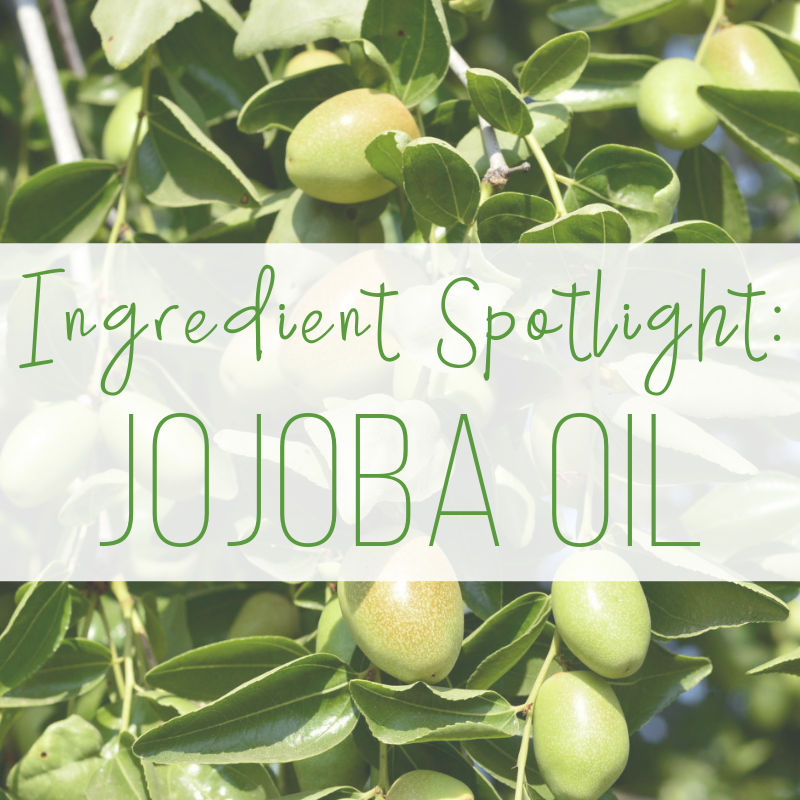 ingredient spotlight: jojoba oil 