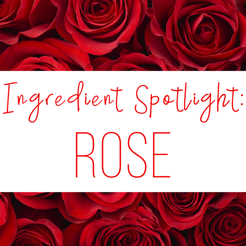 ingredient spotlight: rose 