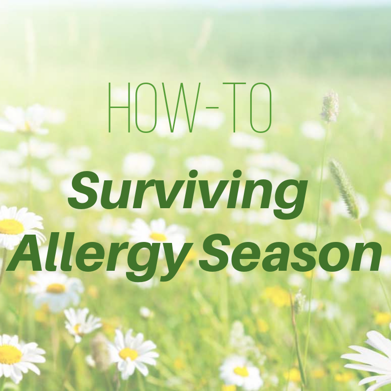 how-to surviving allergy season 