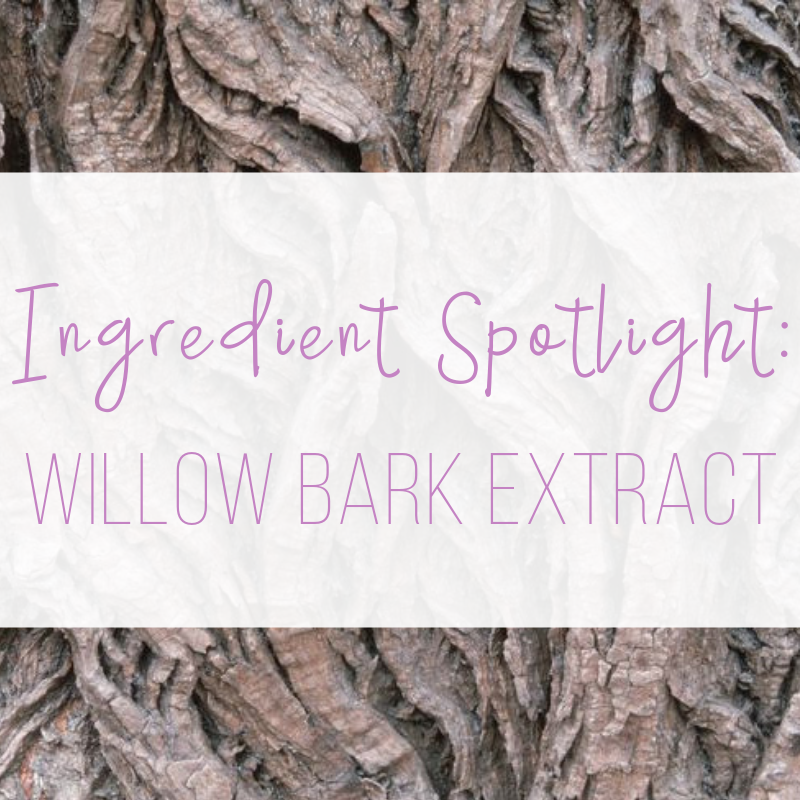 ingredient spotlight: willow bark extract 