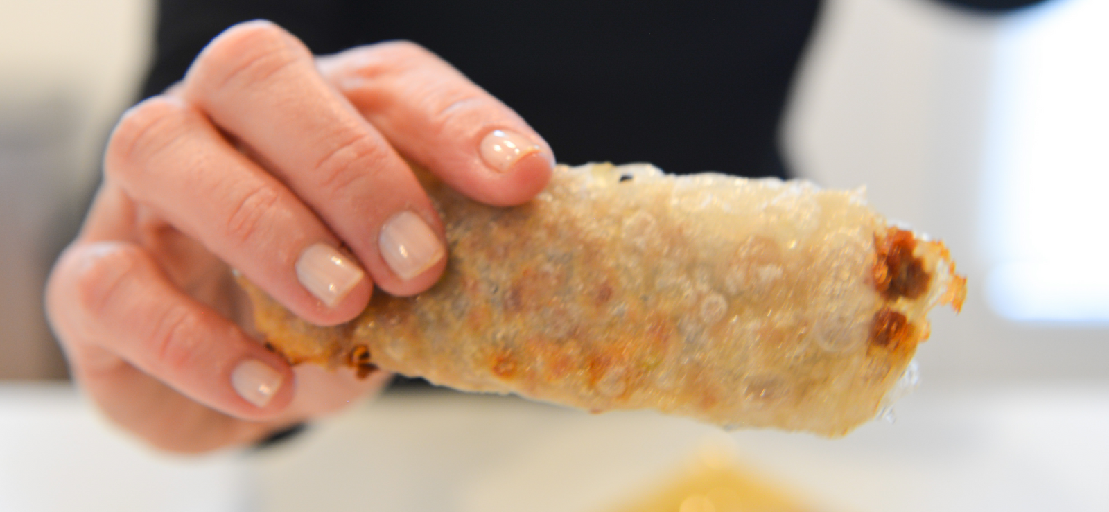 Gluten-Free Spring Roll Pork Dumplings