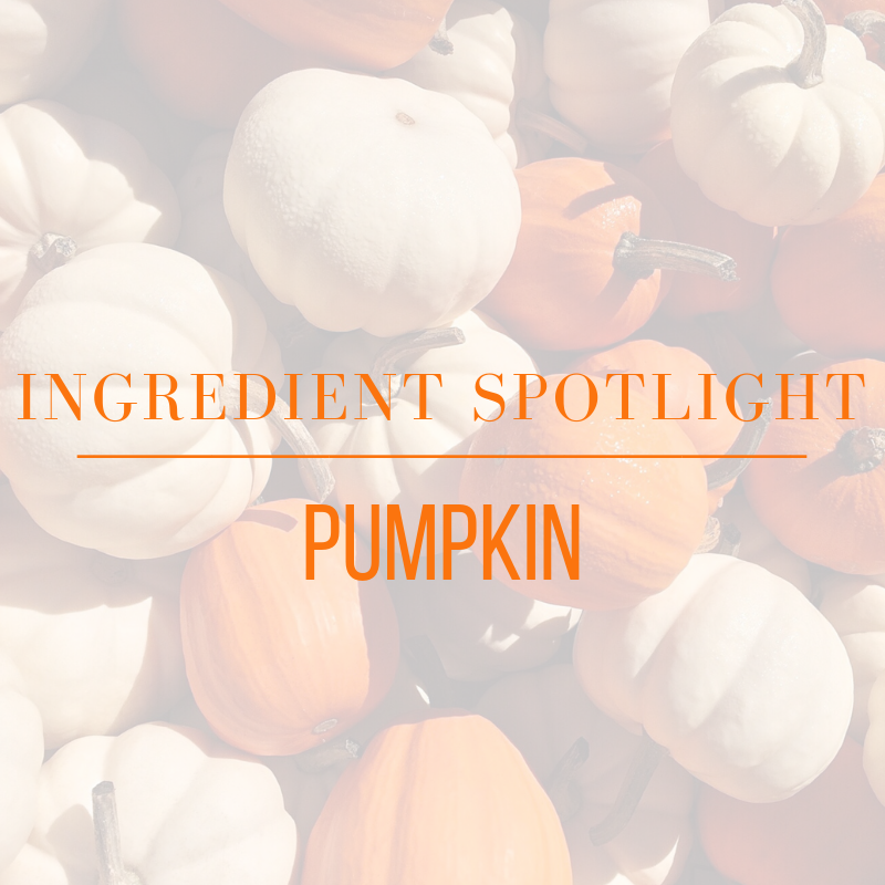 ingredient spotlight: pumpkin