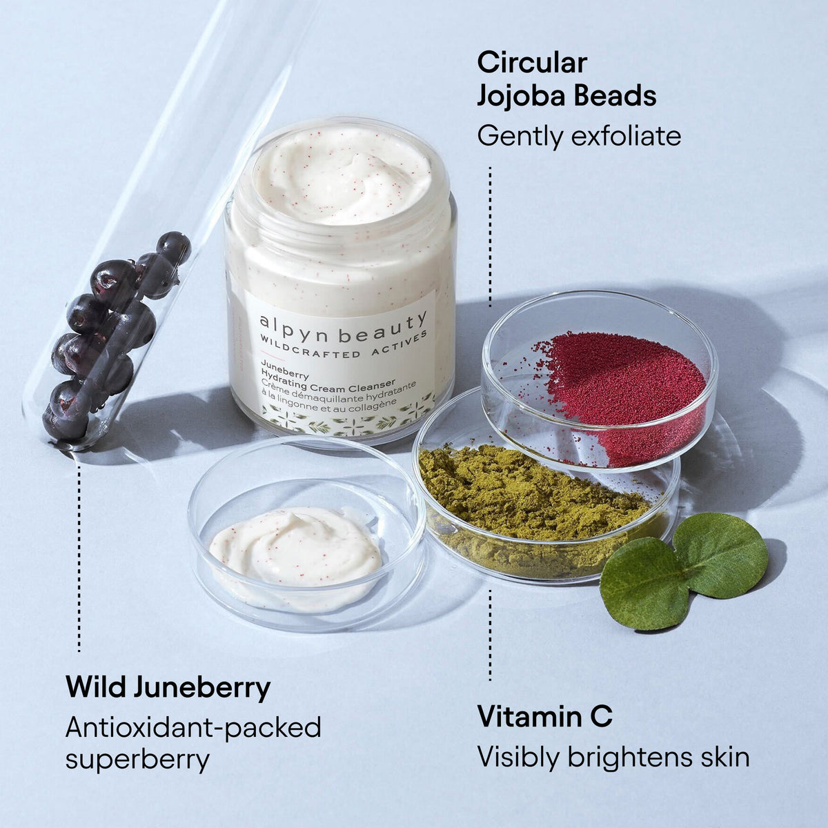 Alpyn Beauty Juneberry &amp; Vitamin C Hydrating Cream Cleanser - AILLEA