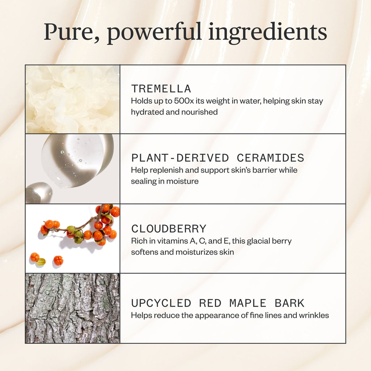 Ursa Major Alpine Rich Cream - AILLEA