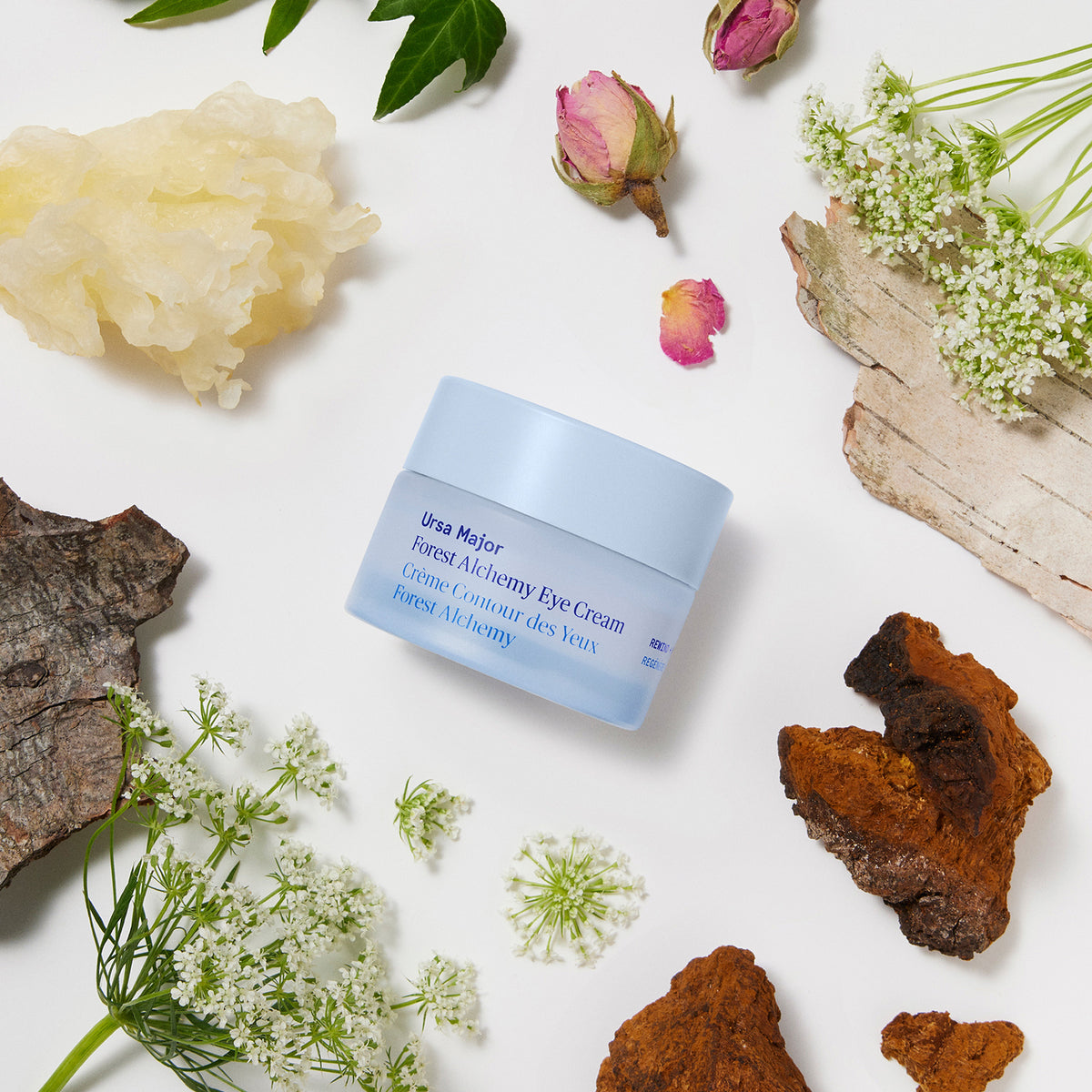 Ursa Major Forest Alchemy Eye Cream - AILLEA