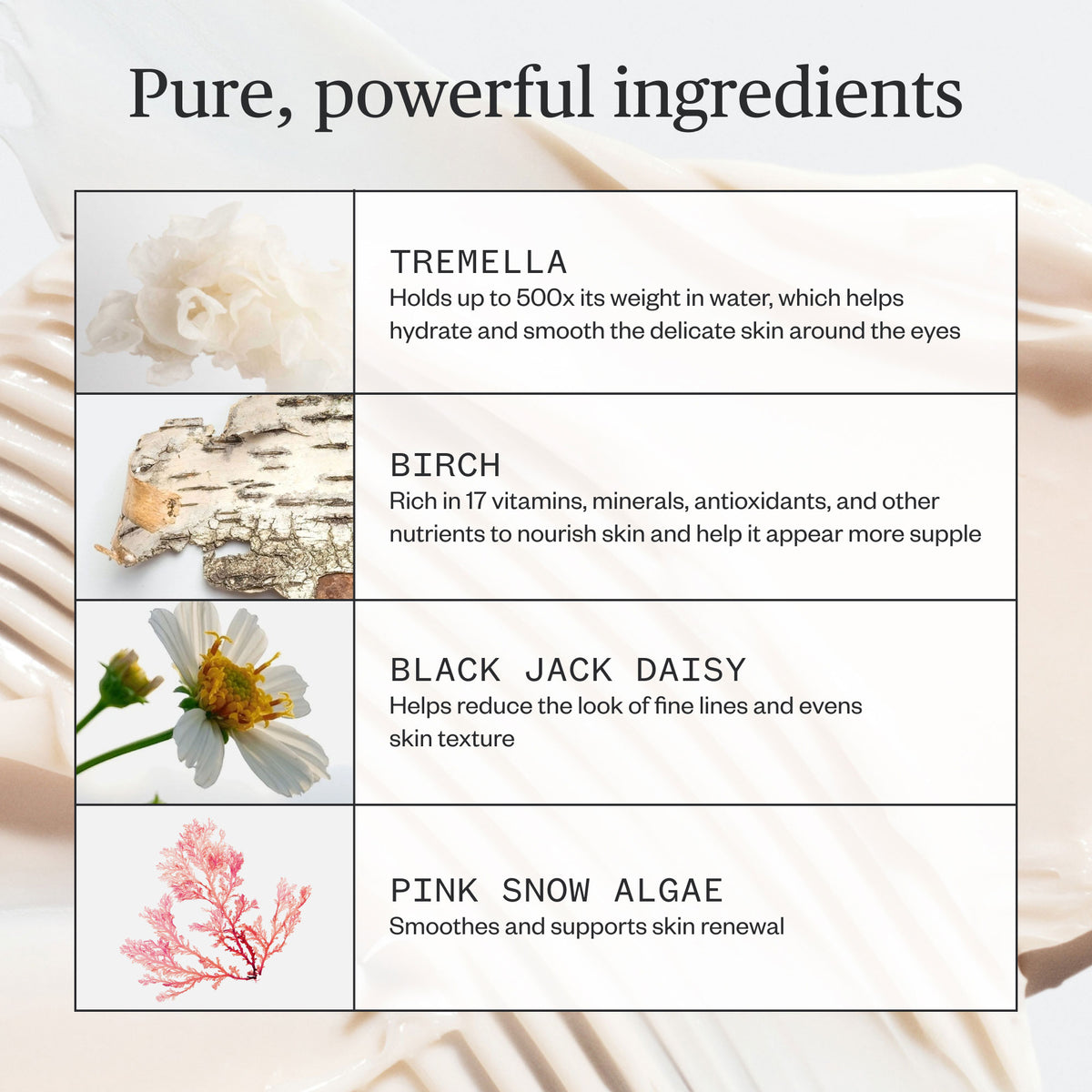 Ursa Major Forest Alchemy Eye Cream - AILLEA