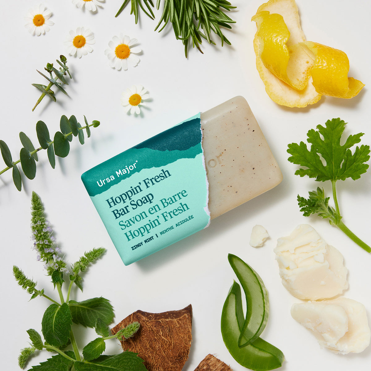 Ursa Major Hoppin&#39; Fresh Bar Soap - AILLEA