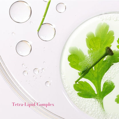 Tata Harper Superkind Fortifying Moisturizer - With a tetra-lipid complex that restores skin&
