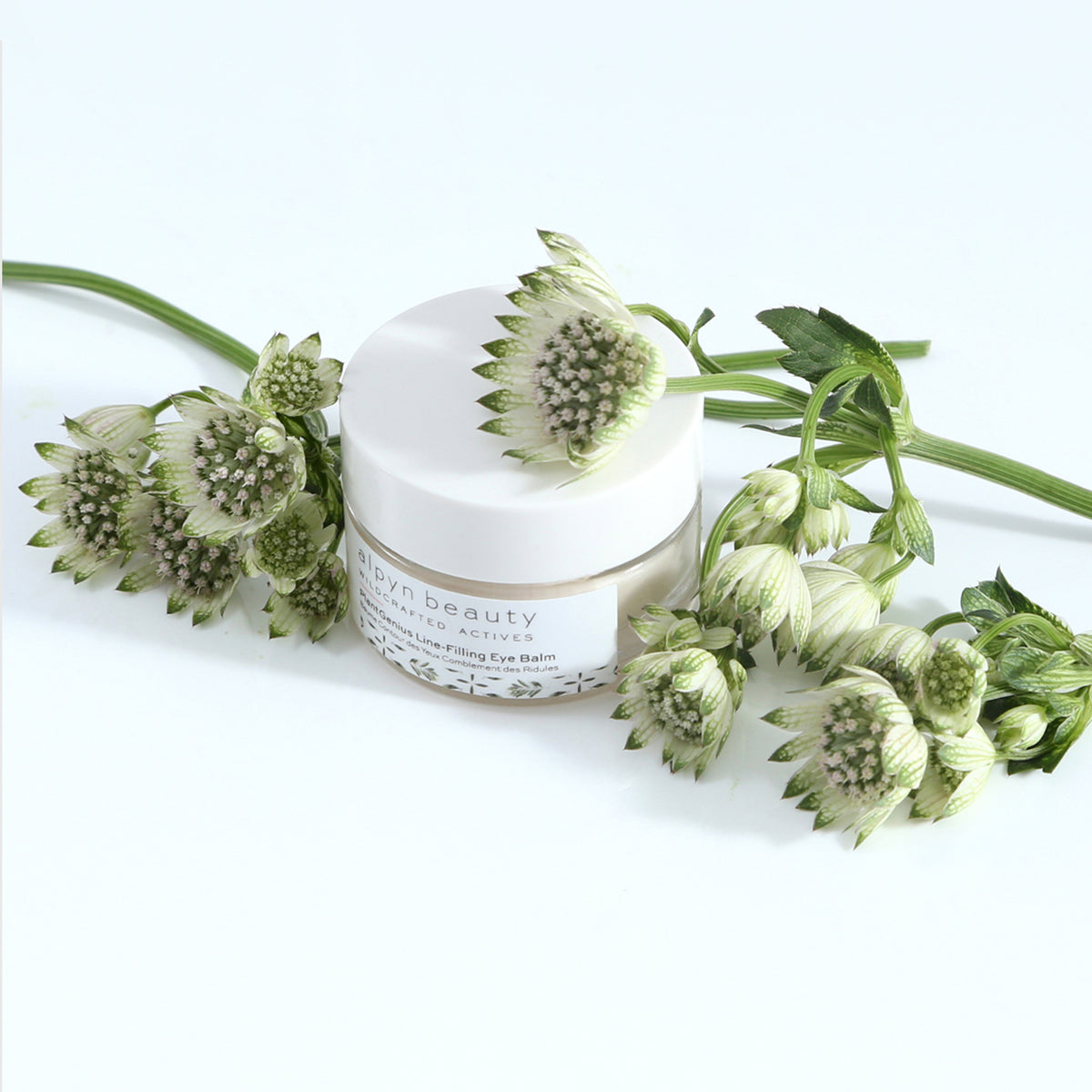 Alpyn Beauty PlantGenius Line-Filling Eye Balm - AILLEA