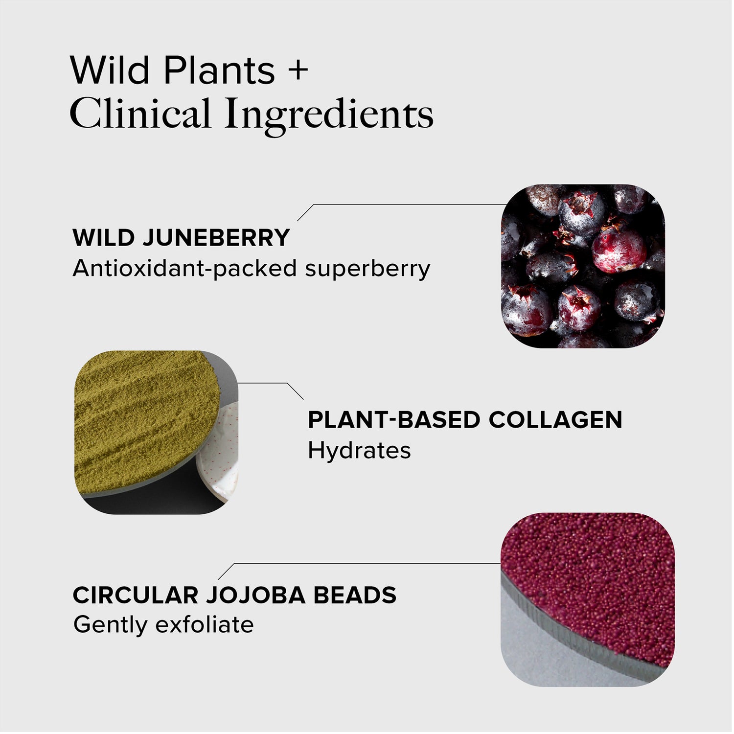 Alpyn Beauty Juneberry &amp; Collagen Hydrating Cream Cleanser - AILLEA