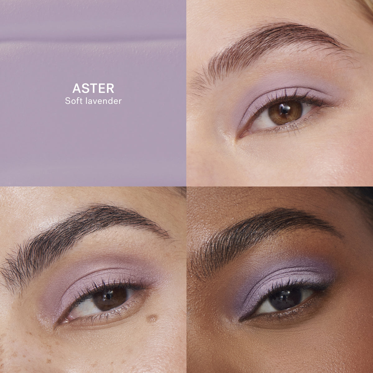 ILIA Liquid Powder Matte Eye Tint - Aster Comparison Grid - AILLEA