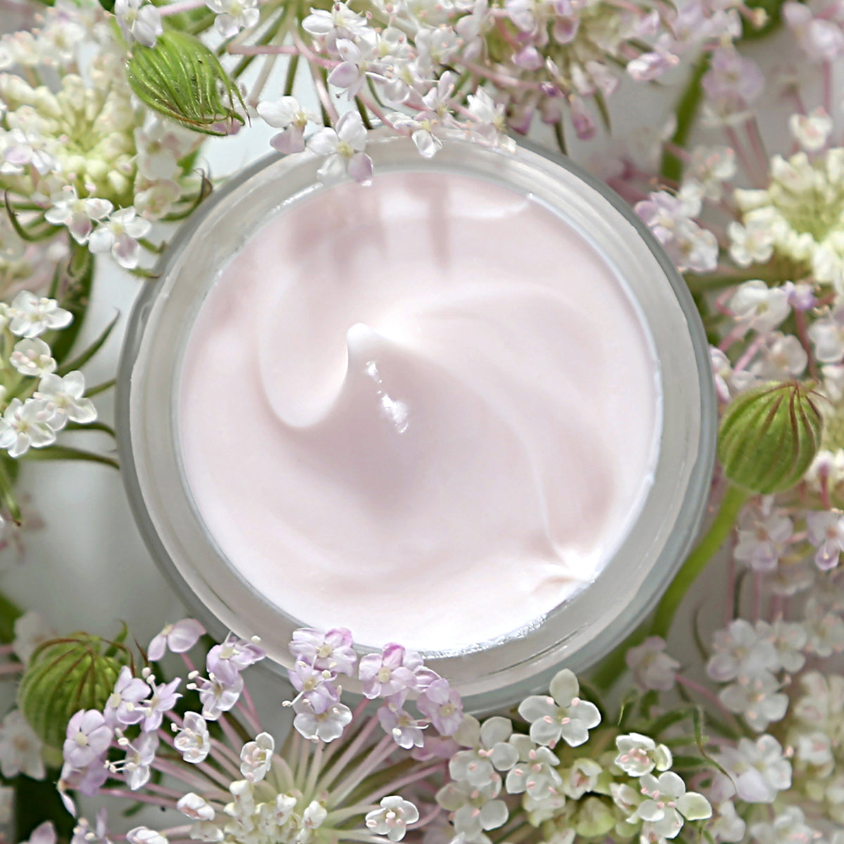 Alpyn Beauty PlantGenius Melt Moisturizer - AILLEA