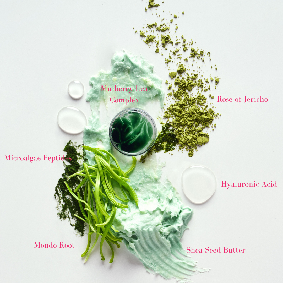 Tata Harper Superkind Fortifying Moisturizer Raw Ingredients - With Rose of Jericho, Hyaluronic Acid, Shea Seed Butter, Mondo Root, Microalgae peptides and a Mulberry Leaf Complex - AILLEA
